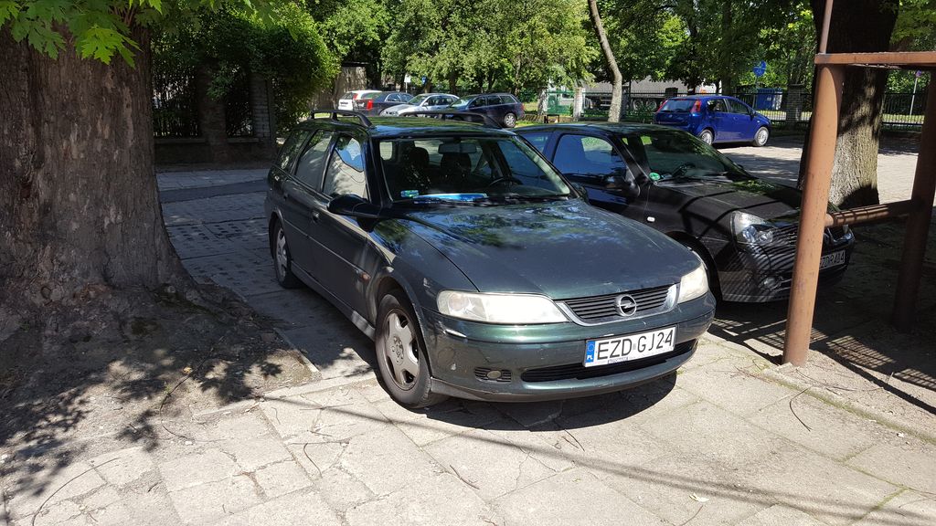 vectra